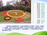 青岛小学科学六上《15、昼夜与生物》PPT课件-(1)