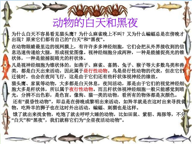 青岛小学科学六上《15、昼夜与生物》PPT课件-(8)03