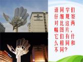 青岛小学科学六上《14、白天与黑夜》PPT课件-(9)