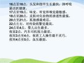 青岛小学科学六上《15、昼夜与生物》PPT课件-(10)