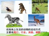 青岛小学科学六上《13、动物的运动》PPT课件-(2)