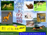 青岛小学科学六上《13、动物的运动》PPT课件-(3)