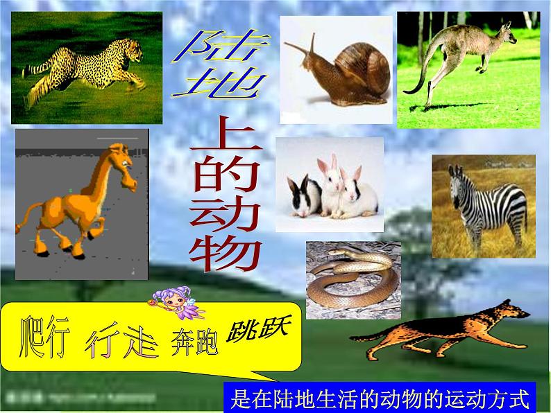 青岛小学科学六上《13、动物的运动》PPT课件-(3)04