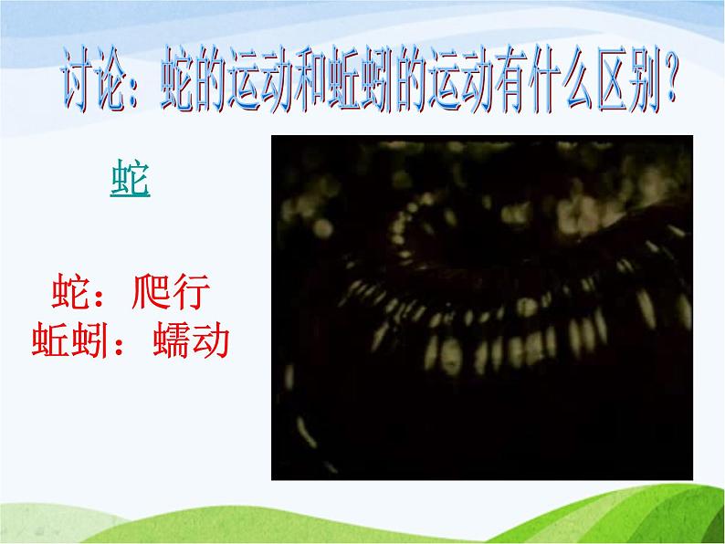 青岛小学科学六上《13、动物的运动》PPT课件-(3)06