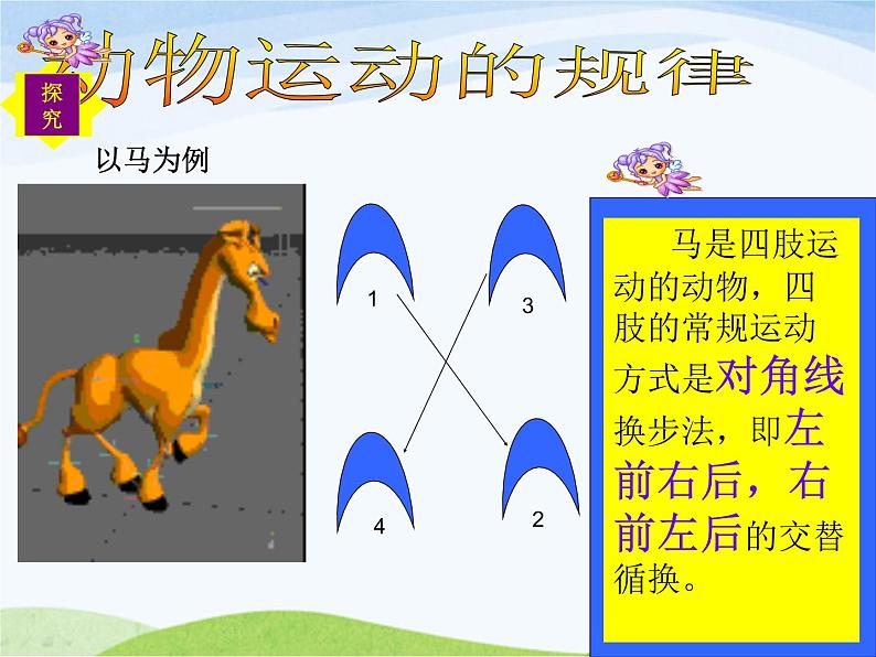 青岛小学科学六上《13、动物的运动》PPT课件-(3)07