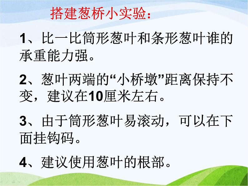 青岛小学科学六上《25、生物的启示》PPT课件-第3页