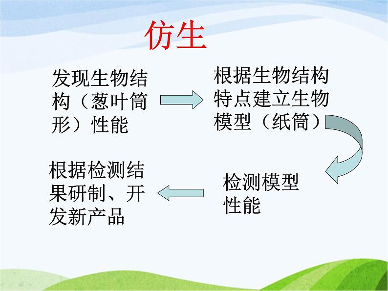 青岛小学科学六上《25、生物的启示》PPT课件-第6页