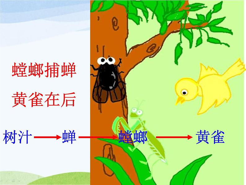 青岛小学科学六上《23、密切联系的生物界》PPT课件-第2页