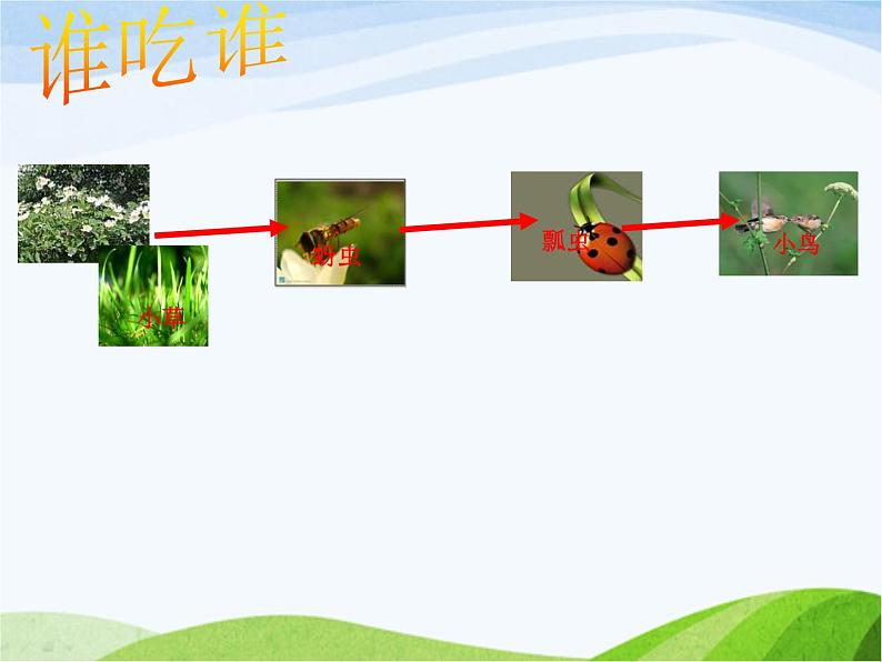 青岛小学科学六上《23、密切联系的生物界》PPT课件-第5页