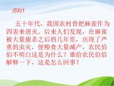 青岛小学科学六上《23、密切联系的生物界》PPT课件-(15)