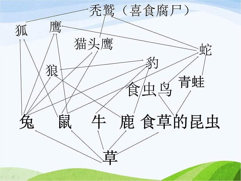 青岛小学科学六上《23、密切联系的生物界》PPT课件-第2页