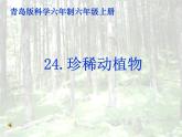青岛小学科学六上《24、珍稀动植物》PPT课件-(5)