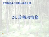 小学科学青岛版 (六三制)六年级上册24、珍稀动植物背景图课件ppt