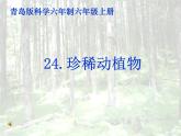 青岛小学科学六上《24、珍稀动植物》PPT课件-(5)