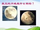青岛小学科学六上《19、登上月球》PPT课件-(3)