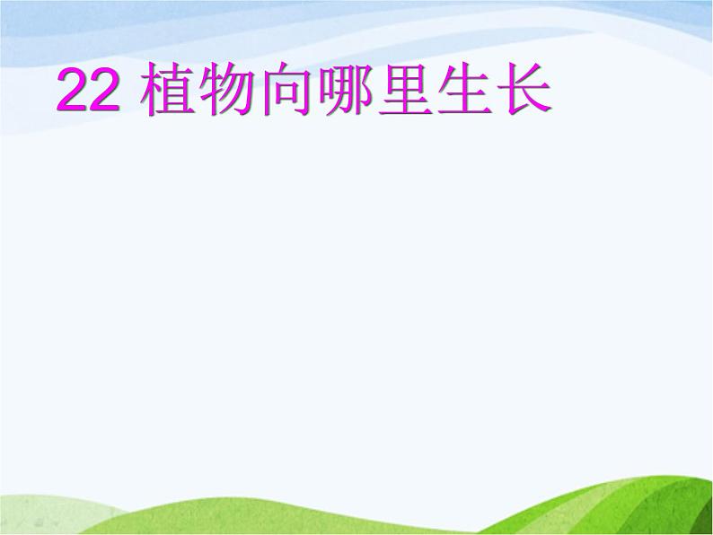 青岛小学科学六上《22、植物向哪里生长》PPT课件01