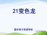 青岛小学科学六上《21、变色龙》PPT课件-(9)