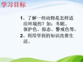 青岛小学科学六上《21、变色龙》PPT课件-(4)