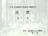 青岛小学科学六上《24、珍稀动植物》PPT课件-(1)