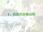 青岛小学科学六上《24、珍稀动植物》PPT课件-(1)