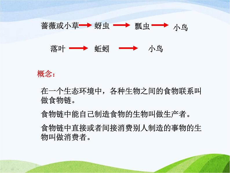 青岛小学科学六上《23、密切联系的生物界》PPT课件-(3)04