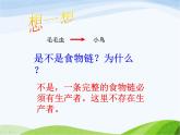 青岛小学科学六上《23、密切联系的生物界》PPT课件-(3)