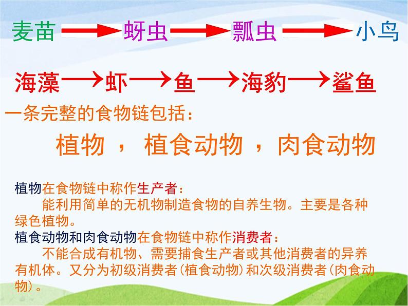 青岛小学科学六上《23、密切联系的生物界》PPT课件-第6页