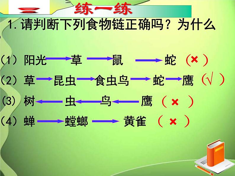 青岛小学科学六上《23、密切联系的生物界》PPT课件-第7页