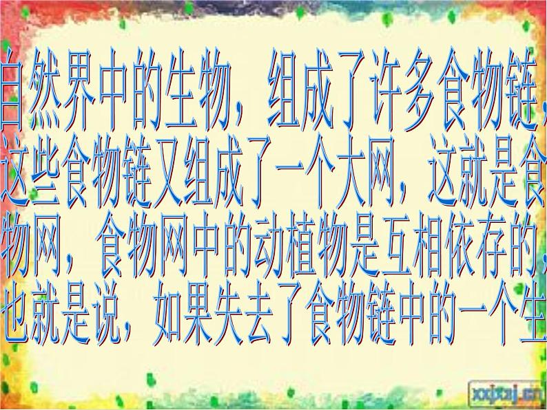 青岛小学科学六上《23、密切联系的生物界》PPT课件-第5页