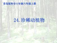 青岛版 (六三制)六年级上册24、珍稀动植物课前预习ppt课件