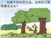 青岛小学科学六上《23、密切联系的生物界》PPT课件-(2)