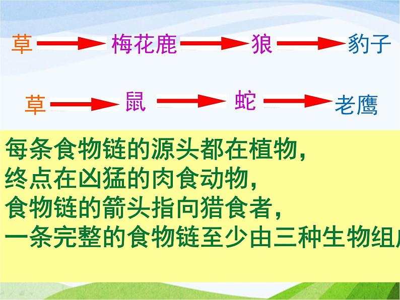 青岛小学科学六上《23、密切联系的生物界》PPT课件-(10)07