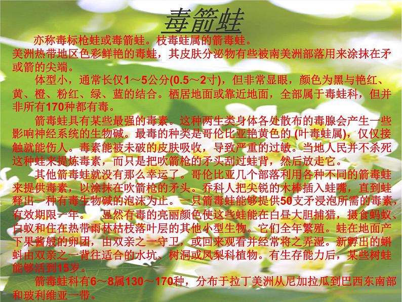 青岛小学科学六上《21、变色龙》PPT课件-(3)07