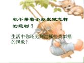 青岛小学科学六下《6、摆的秘密》PPT课件-(5)