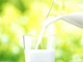 青岛小学科学六上《8、牛奶的变化》PPT课件-(3)