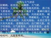 青岛小学科学六下《16、来自大自然的信息》PPT课件-(3)