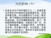 青岛小学科学六下《13、风从哪里来》PPT课件-(4)