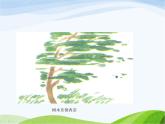 青岛小学科学六下《13、风从哪里来》PPT课件-(5)