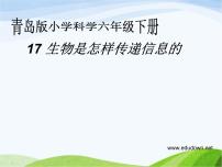 小学科学青岛版 (六三制)六年级下册17、生物是怎样传递信息的评课课件ppt