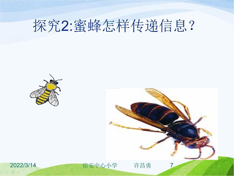 青岛小学科学六下《17、生物是怎样传递信息的》PPT课件-(3)07