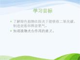 青岛小学科学四上《3-植物的叶》PPT课件-(5)
