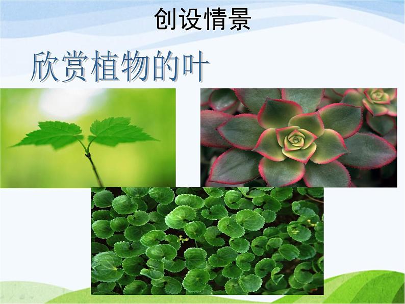 青岛小学科学四上《3-植物的叶》PPT课件-(1)第2页