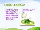 青岛小学科学四上《3-植物的叶》PPT课件-(8)