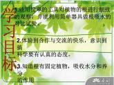 青岛小学科学四上《2-植物的根》PPT课件-(7)