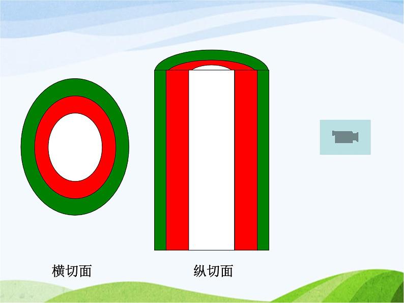 青岛小学科学四上《4-植物的茎》PPT课件-(4)05