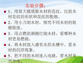 青岛小学科学四上《8-木材》PPT课件-(11)