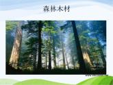 青岛小学科学四上《8-木材》PPT课件-(14)