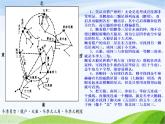 青岛小学科学四上《7-冬季星空》PPT课件-