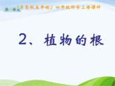 青岛小学科学四上《2-植物的根》PPT课件-(5)