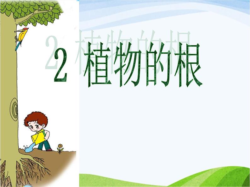 青岛小学科学四上《2-植物的根》PPT课件-(6)第1页